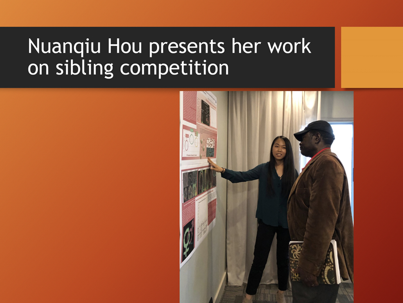 a student presents her work on sibling competition