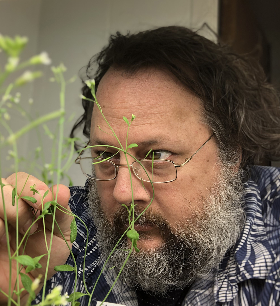 a man with a beard and glasses looks at sprouted plants