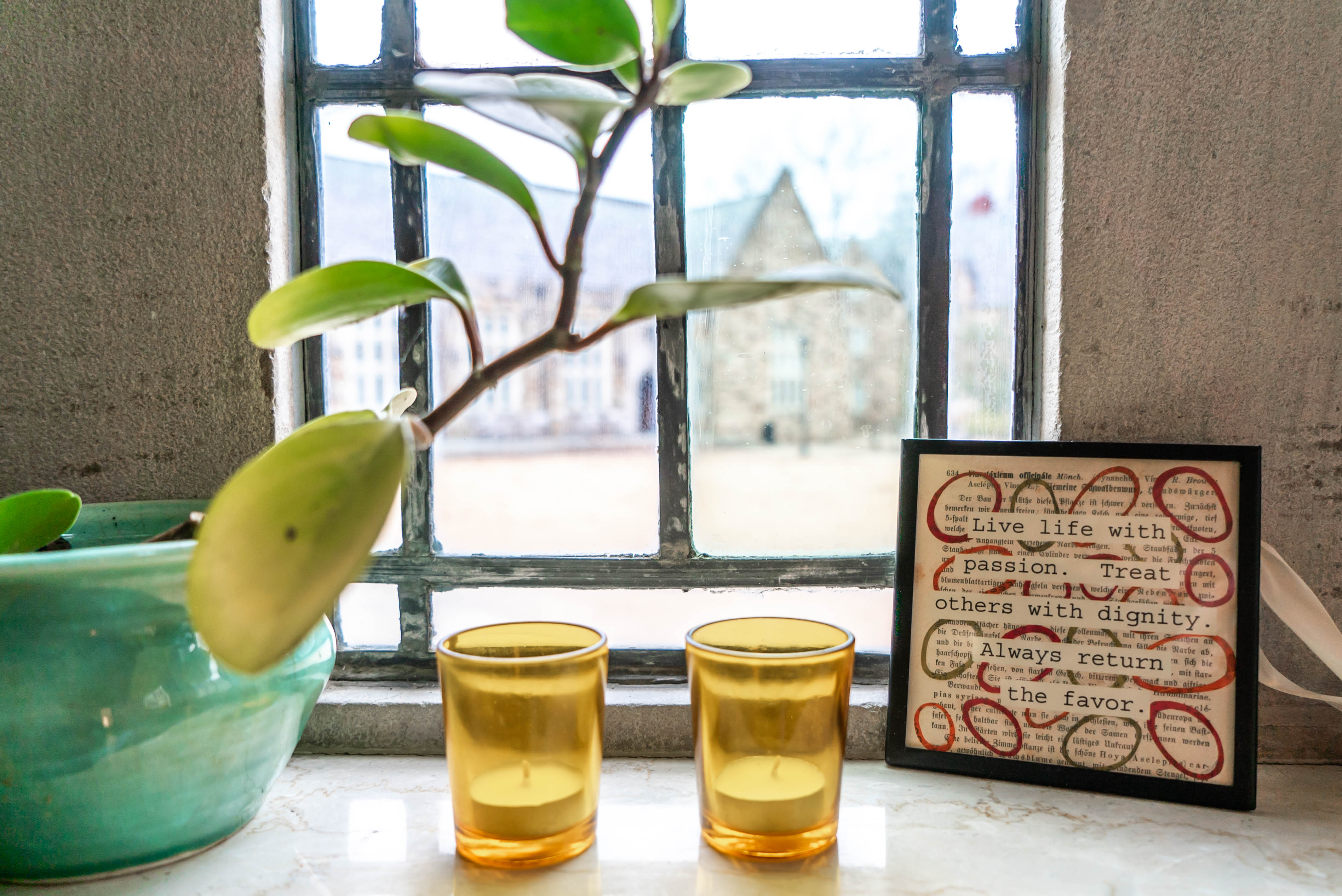 two glasses, and plant, and a picture in front of a window