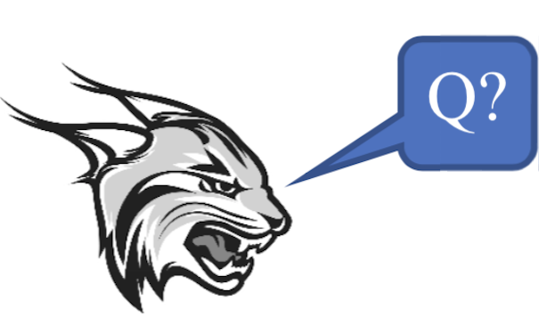 Lynx Asks Q