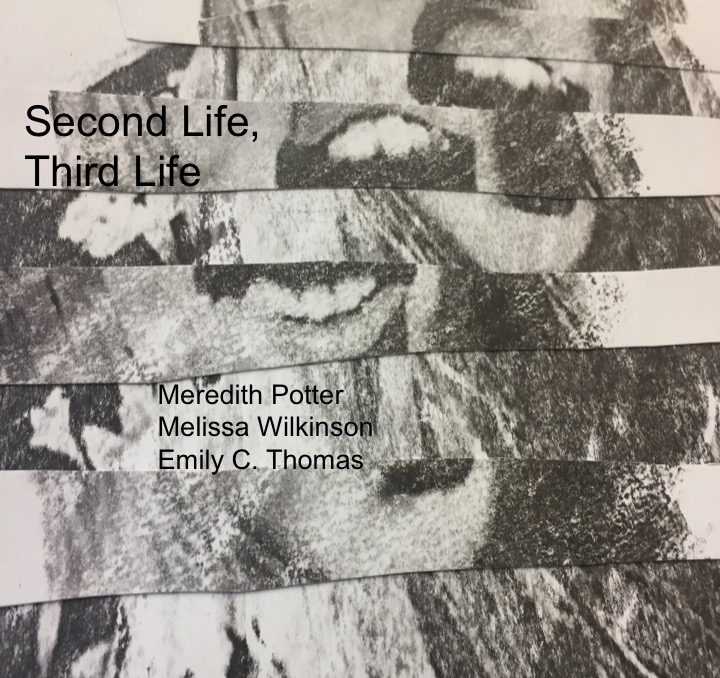 titlecard for Second LIfe, Third Life exhibition
