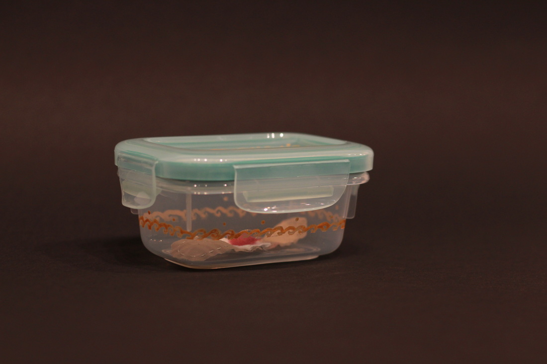  aTtupperware container holds a relic