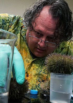 a man reaches for a test tube