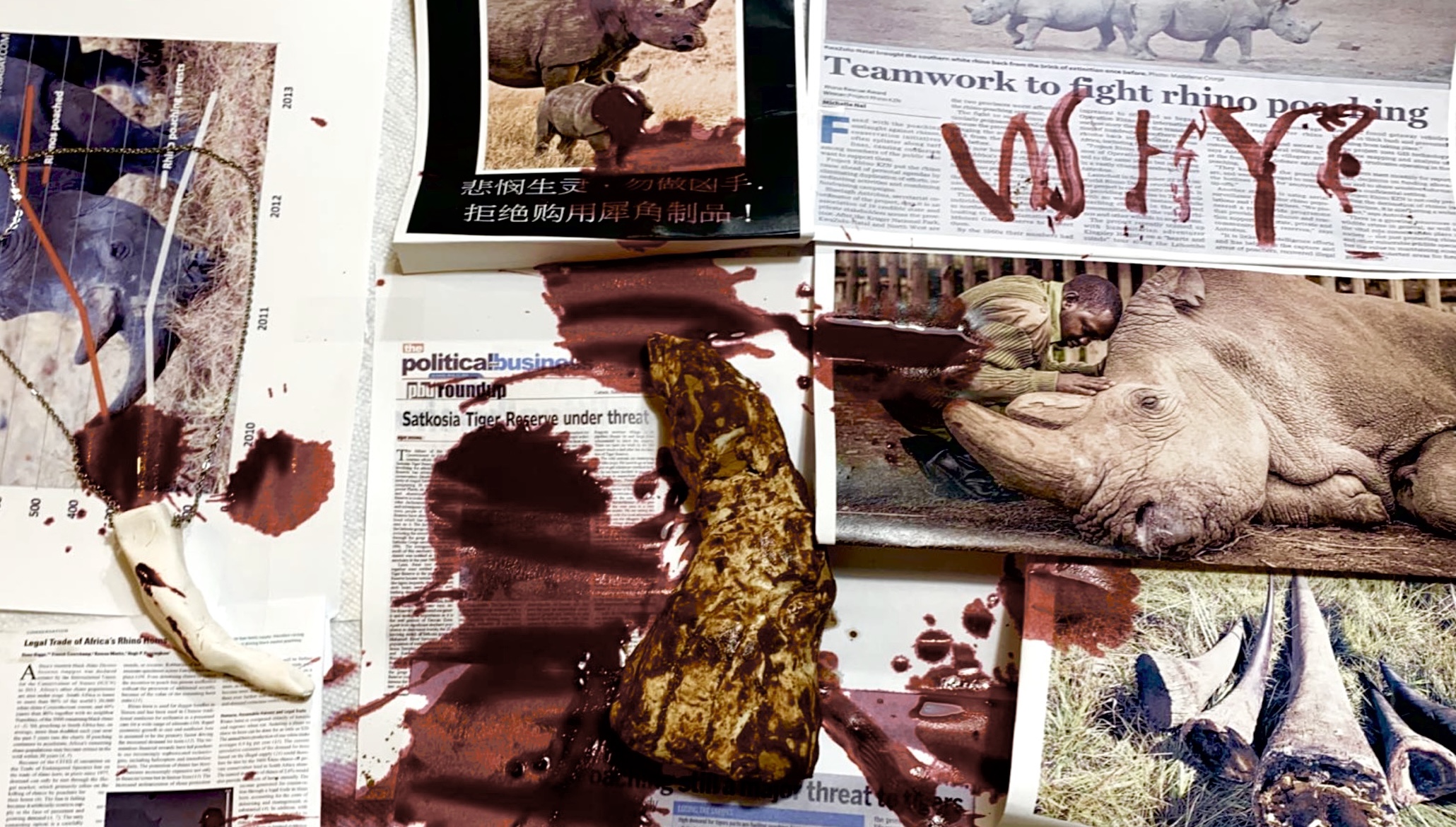 photos of bloodied animals