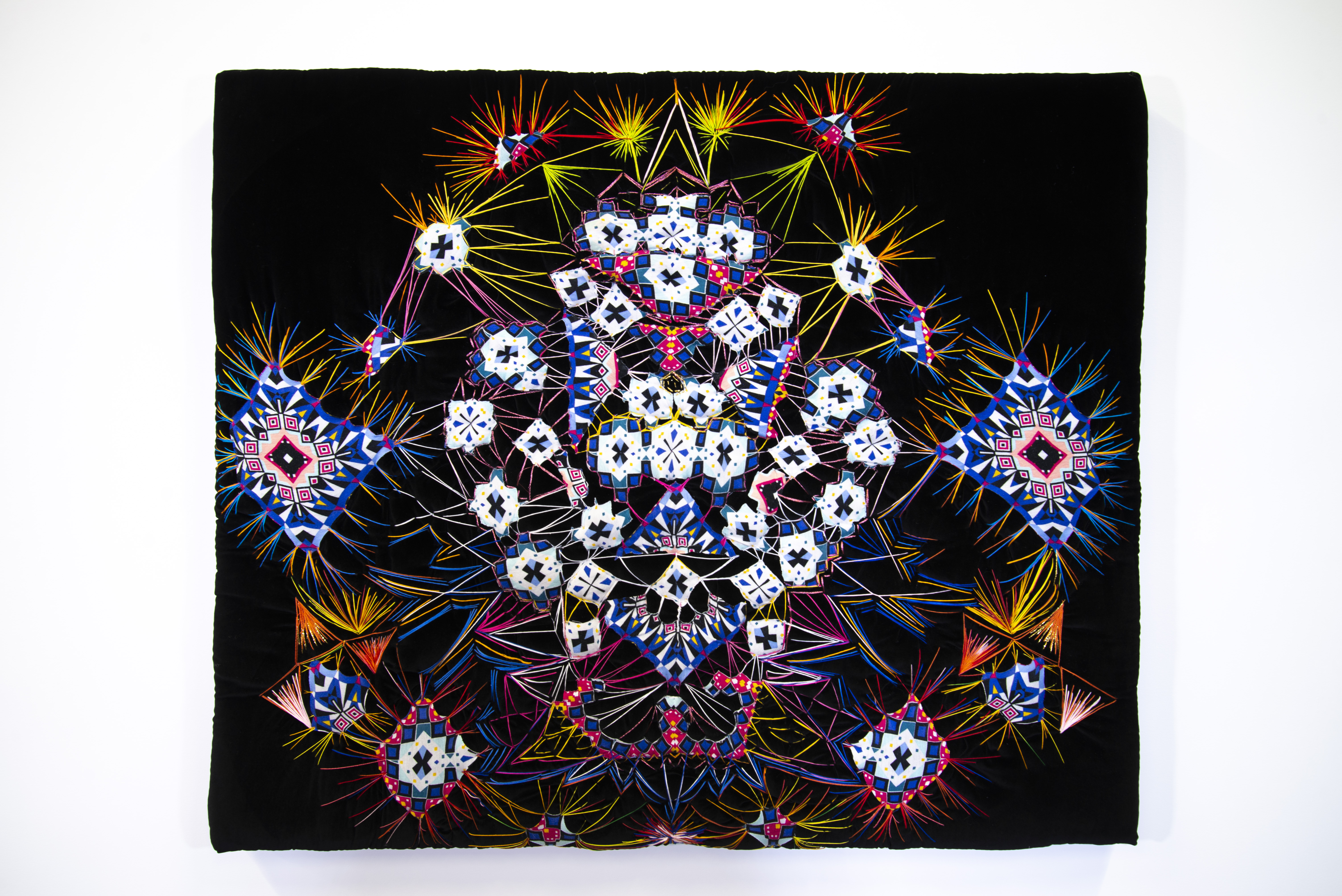 black velvet, embroidery floss on cotton fabric