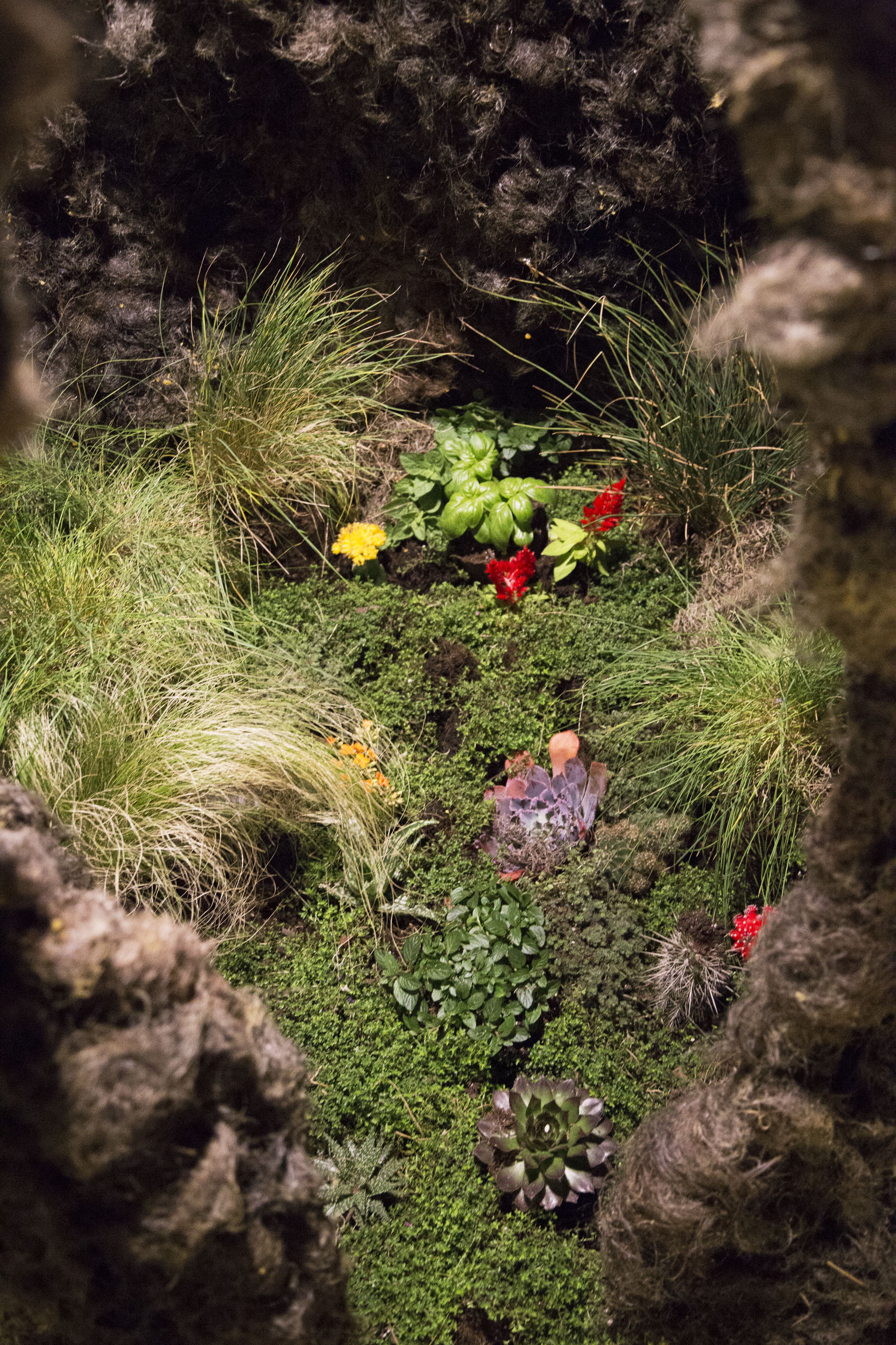 a close up detail of the greenery