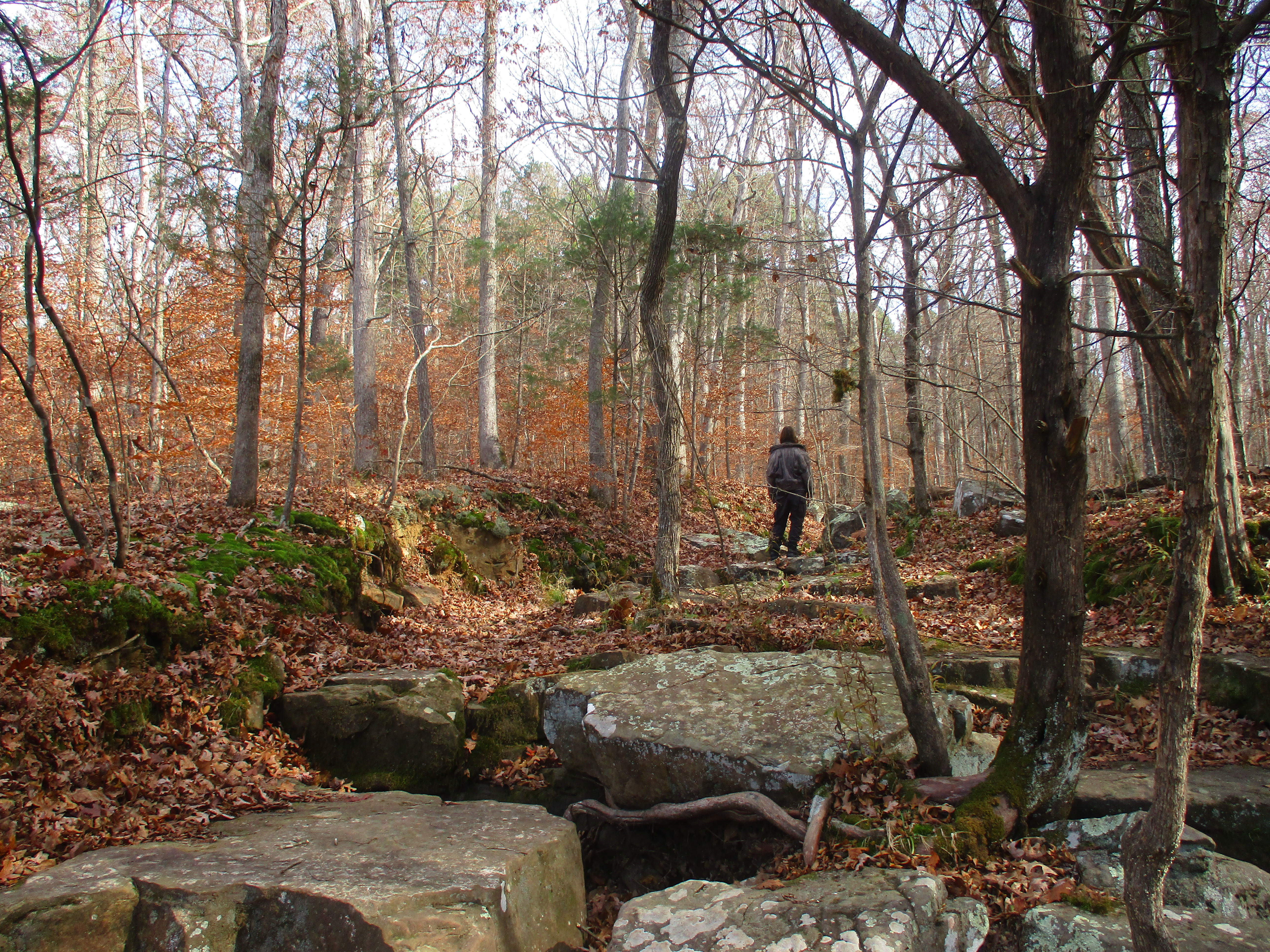I woke up that morning to an unfamiliar view. There were trees to the left and to the right, along with rocks and leaves and turns in the road and everything I saw was cast in a vague red shadow from the canopy of watercolor leaves overhead. I picked my favorite turn as we hiked to the trail-head. I know that when I'm older and that every thing feels different and unfamiliar that the bend will still be there. Maybe my photo will still be in my camera. And I don't know if I will ever see that road again. I l