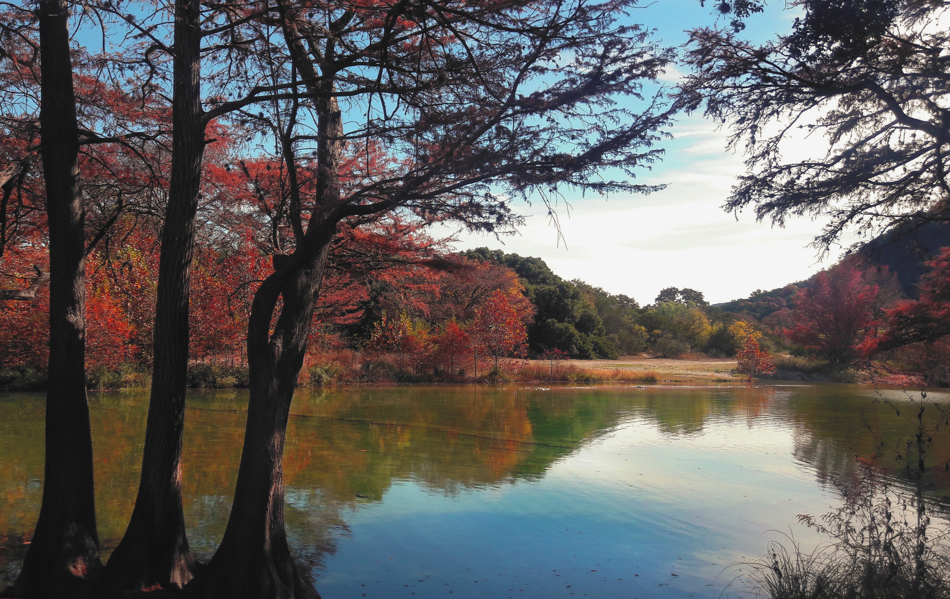 A lake surrounded by vibrant red trees in the fall. 