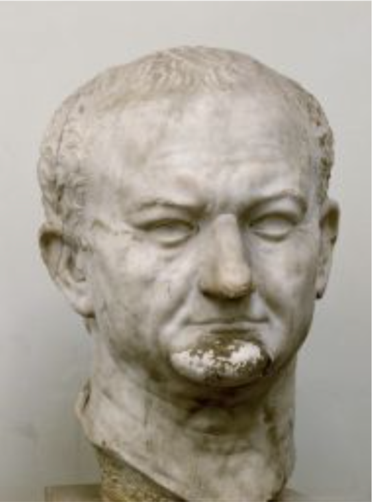 Emperor Vespasian Portrait