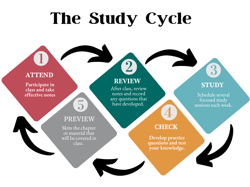 The Study Cycle & Focused Study Sessions | Rhodes Sites