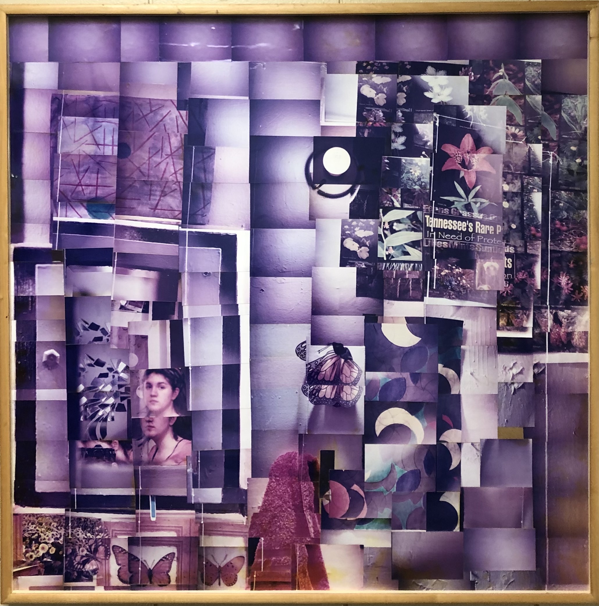 This is a collage of photos glued on masonite from an installation. The photos are mostly purple and depict parts of a bathroom, including a mirror with a figure in the lower left corner. There is also floral imagery and monarch butterflies. 
