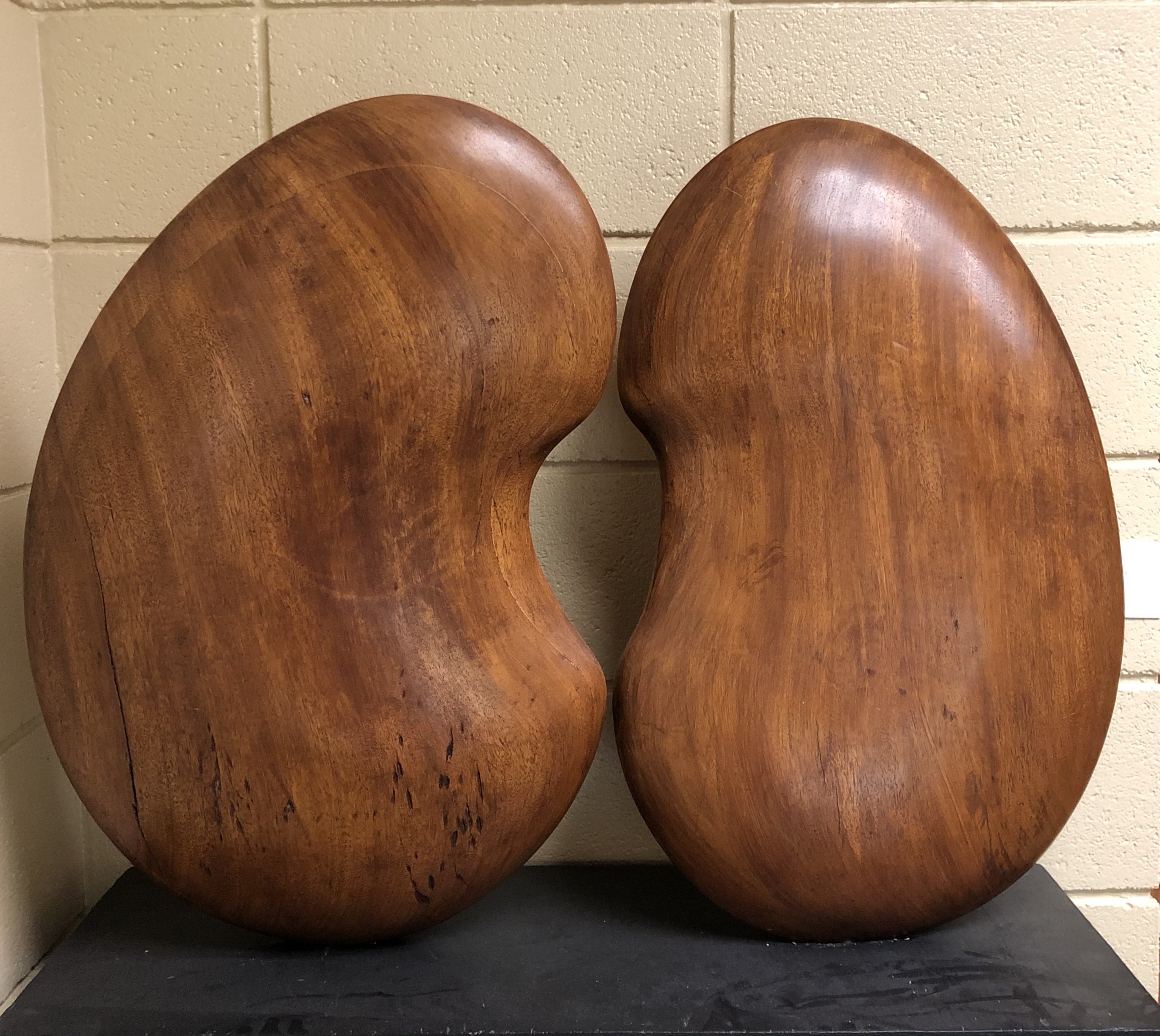 This is a wooden sculpture of two bean-like shapes on a black wooden base. The bean-like structures are separated and slightly titled. 