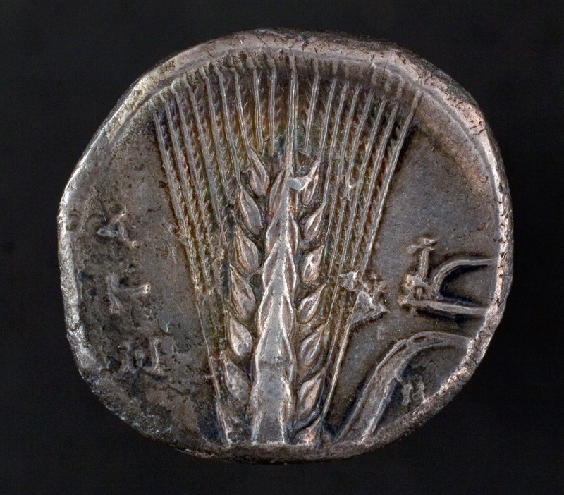Silver Stater of Metapontum.