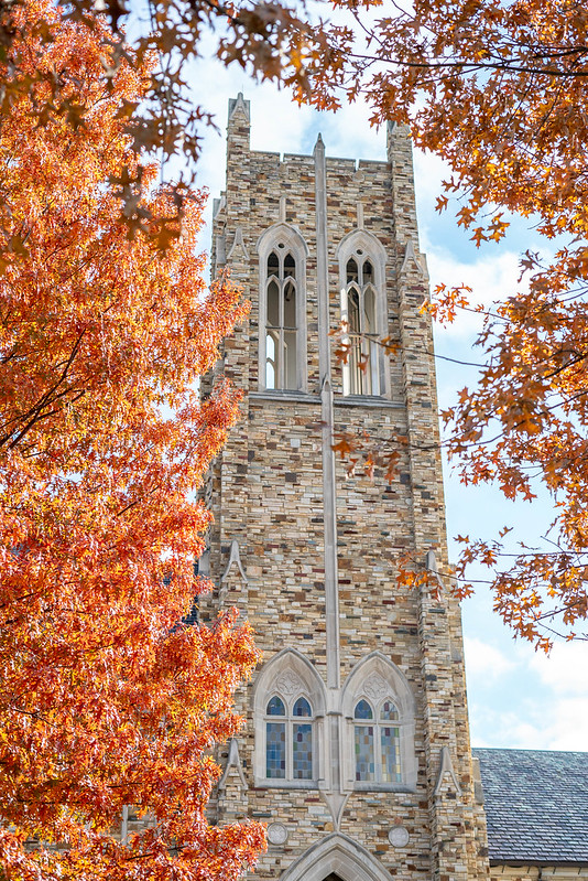 Tower and fall leaves