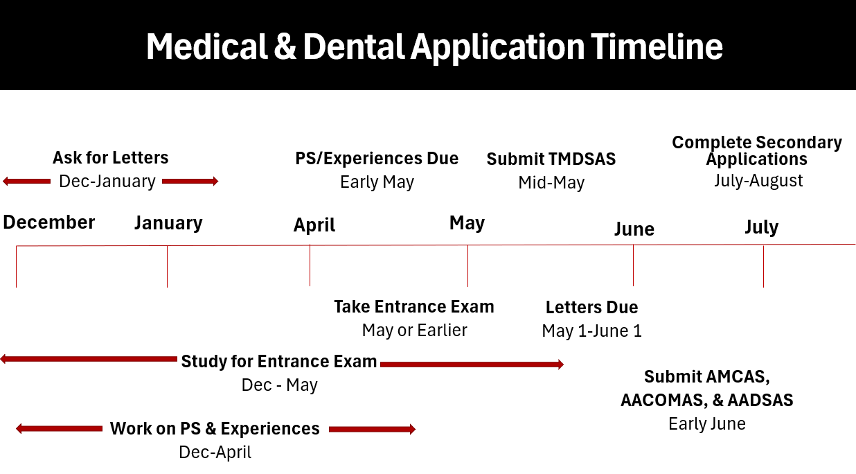 Application Timeline Medical & Dental School