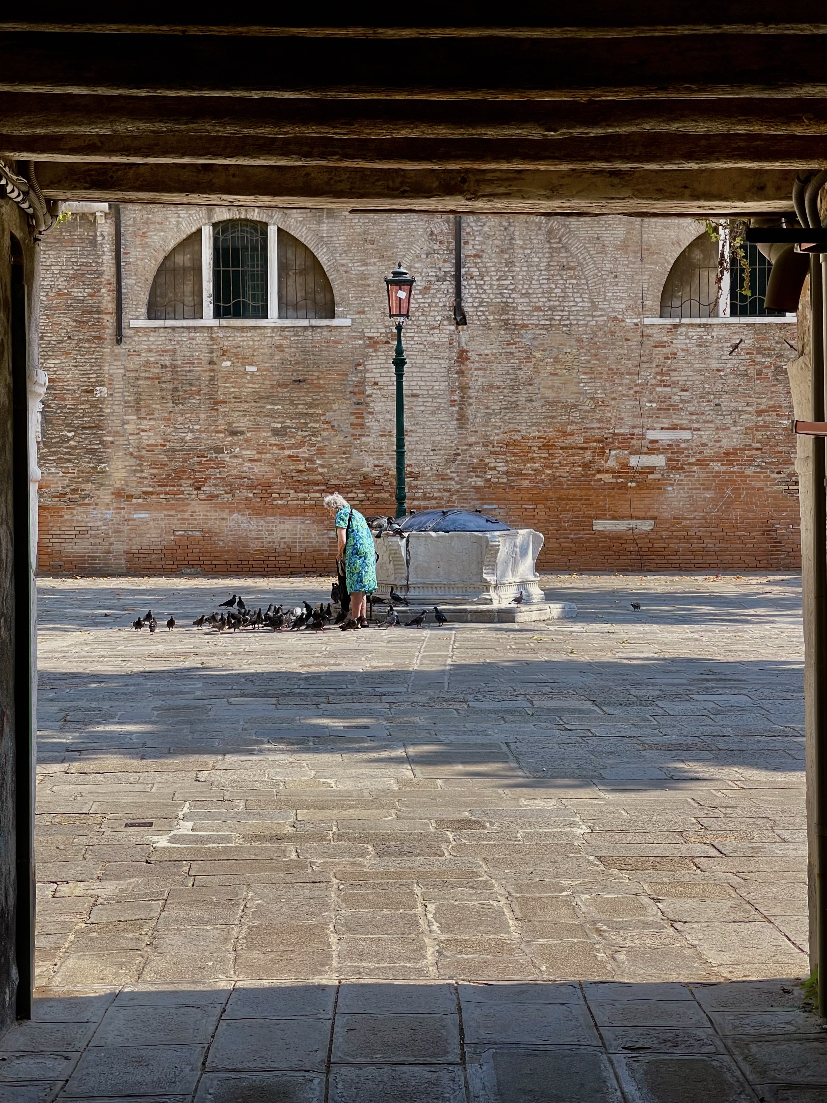 an older woman with pigeons in a plaza