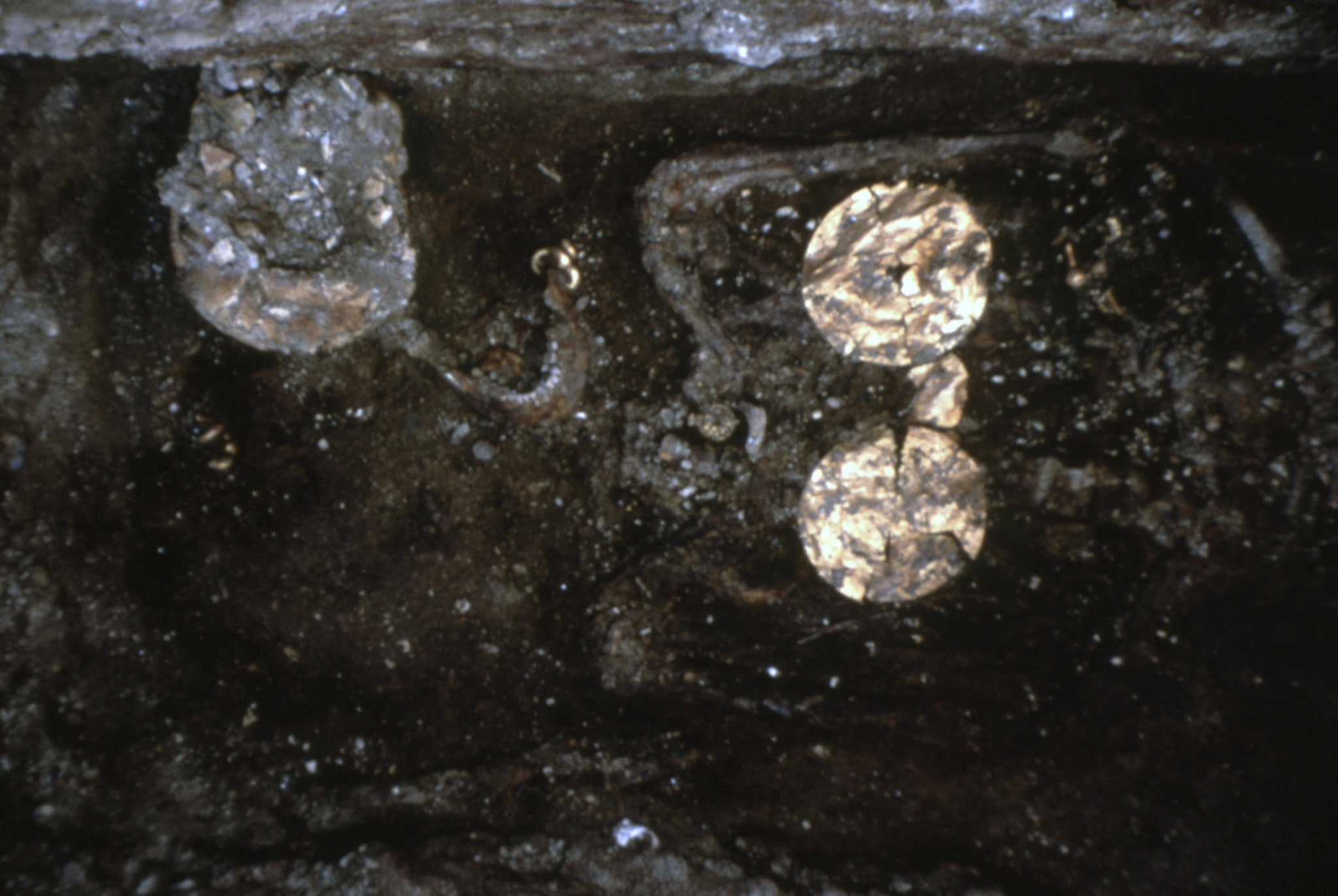 Figure 2: This image shows details of the inhumed woman’s body from the Lefkandi Toumba Complex.