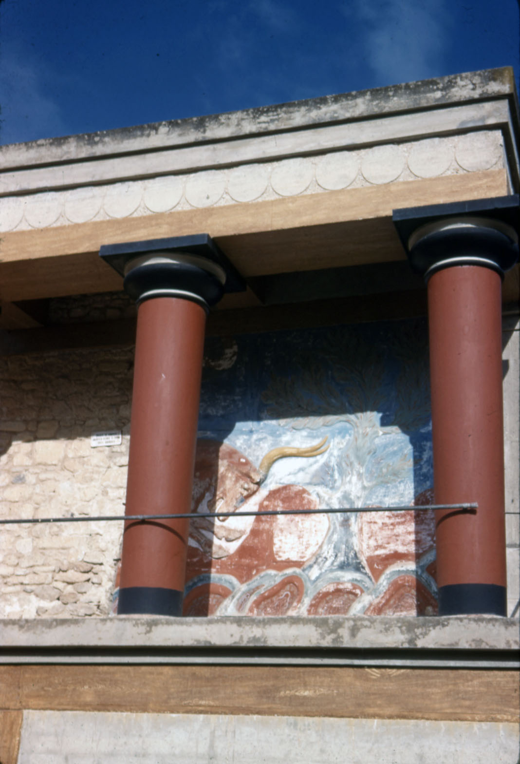 Bull Fresco from Sackett's film slides.