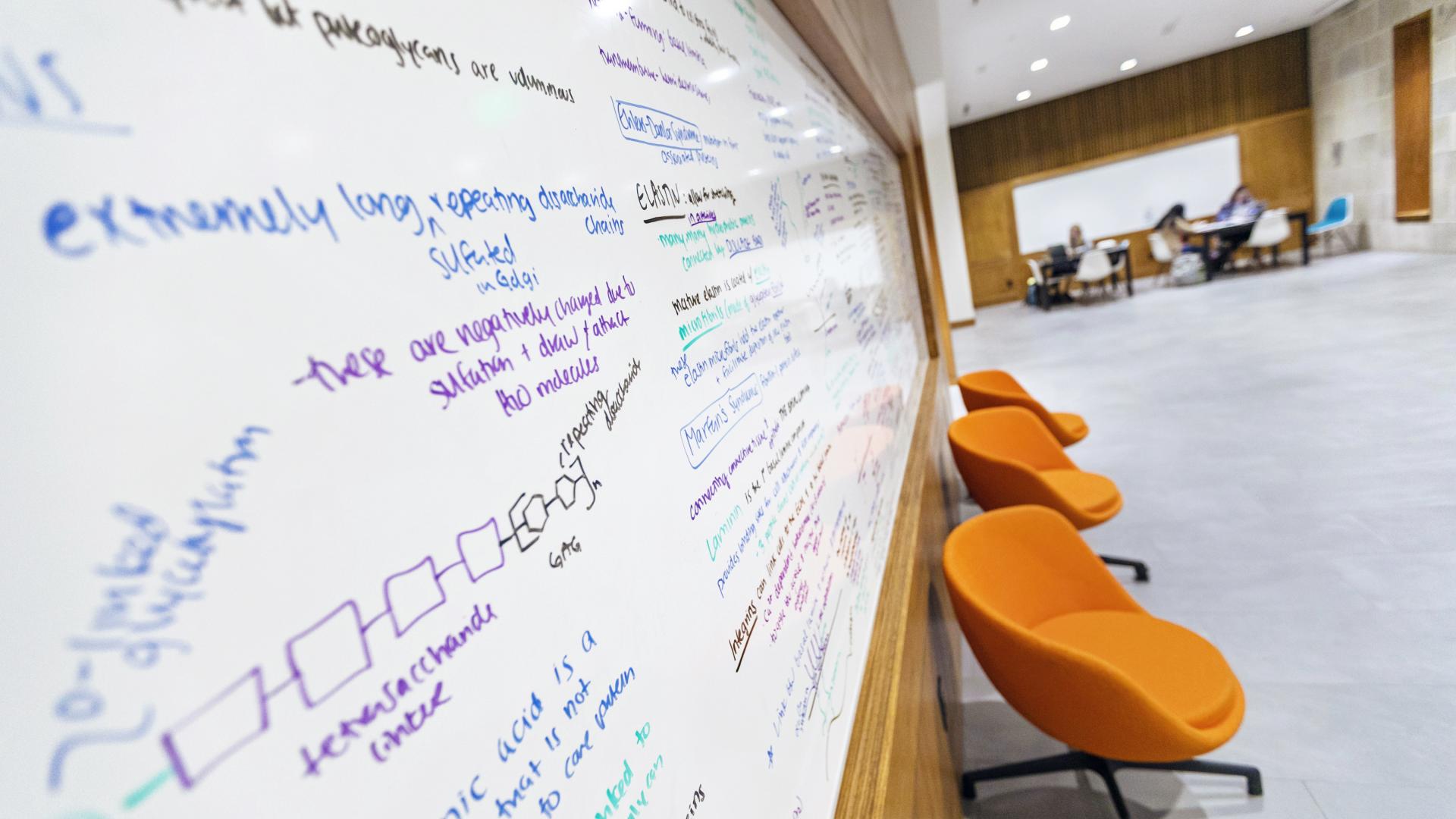 classroom white board