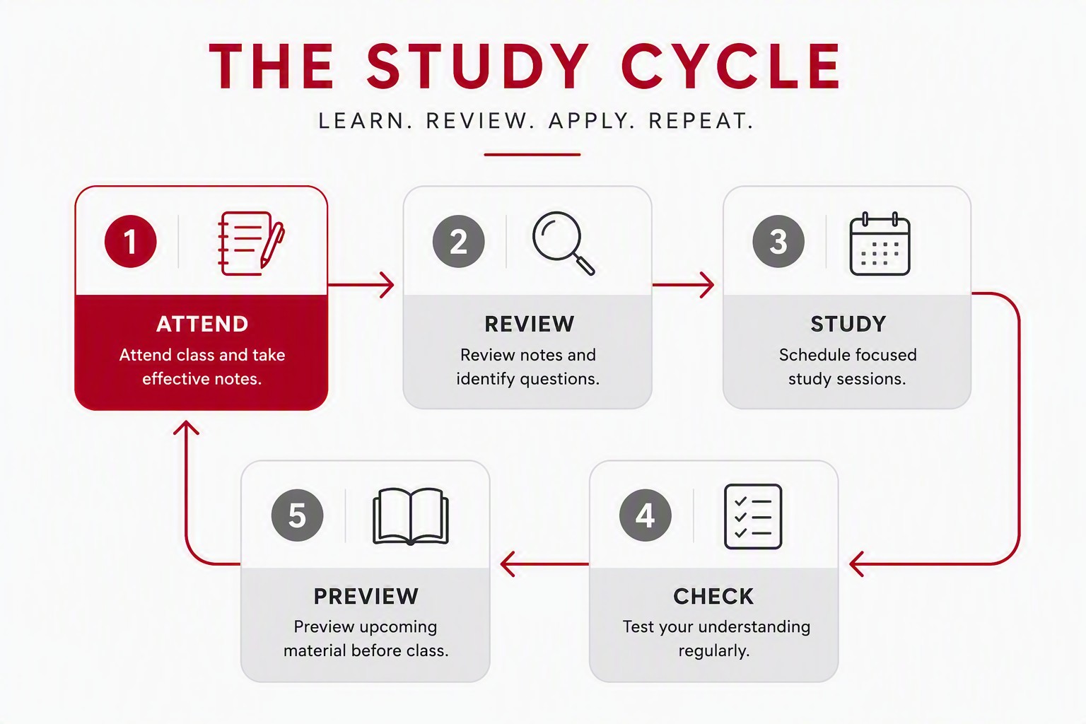 The Study Cycle