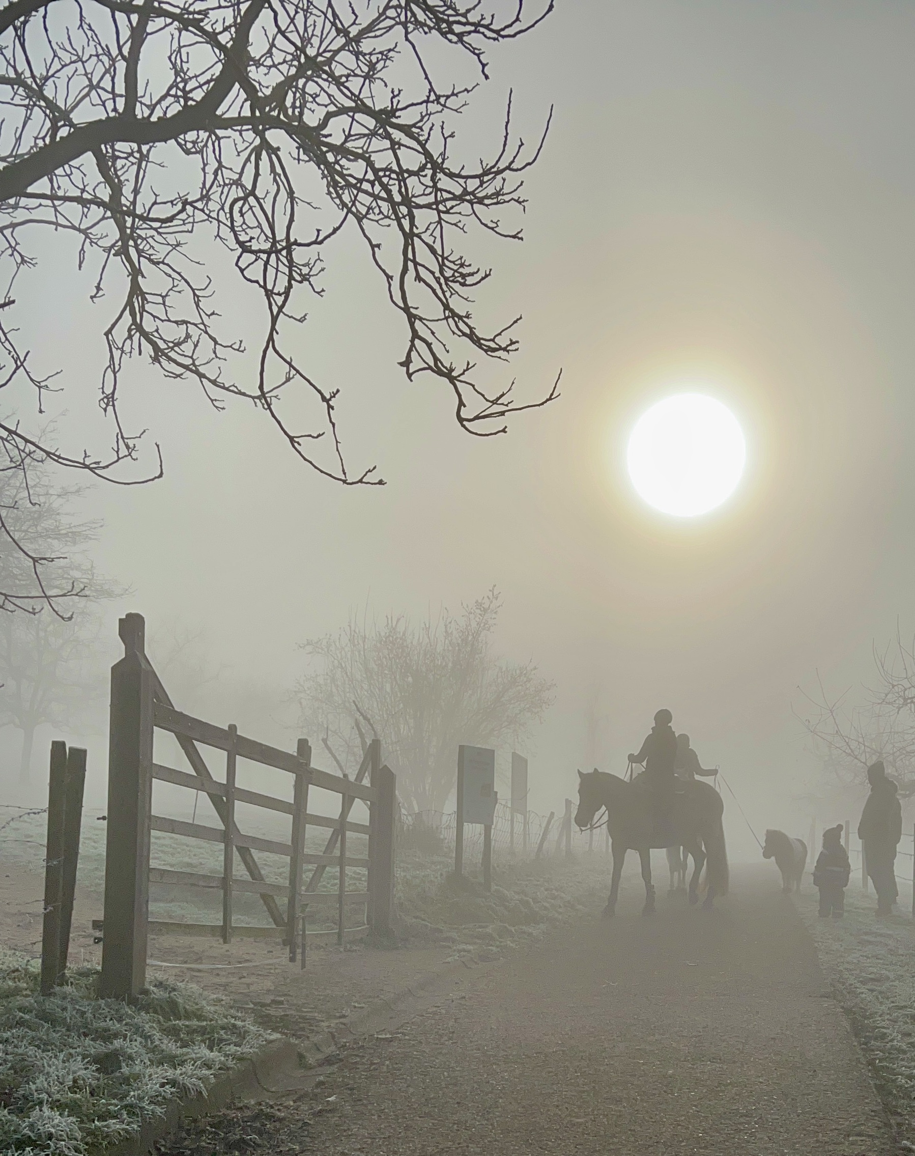 a figure on a horse on a foggy morning