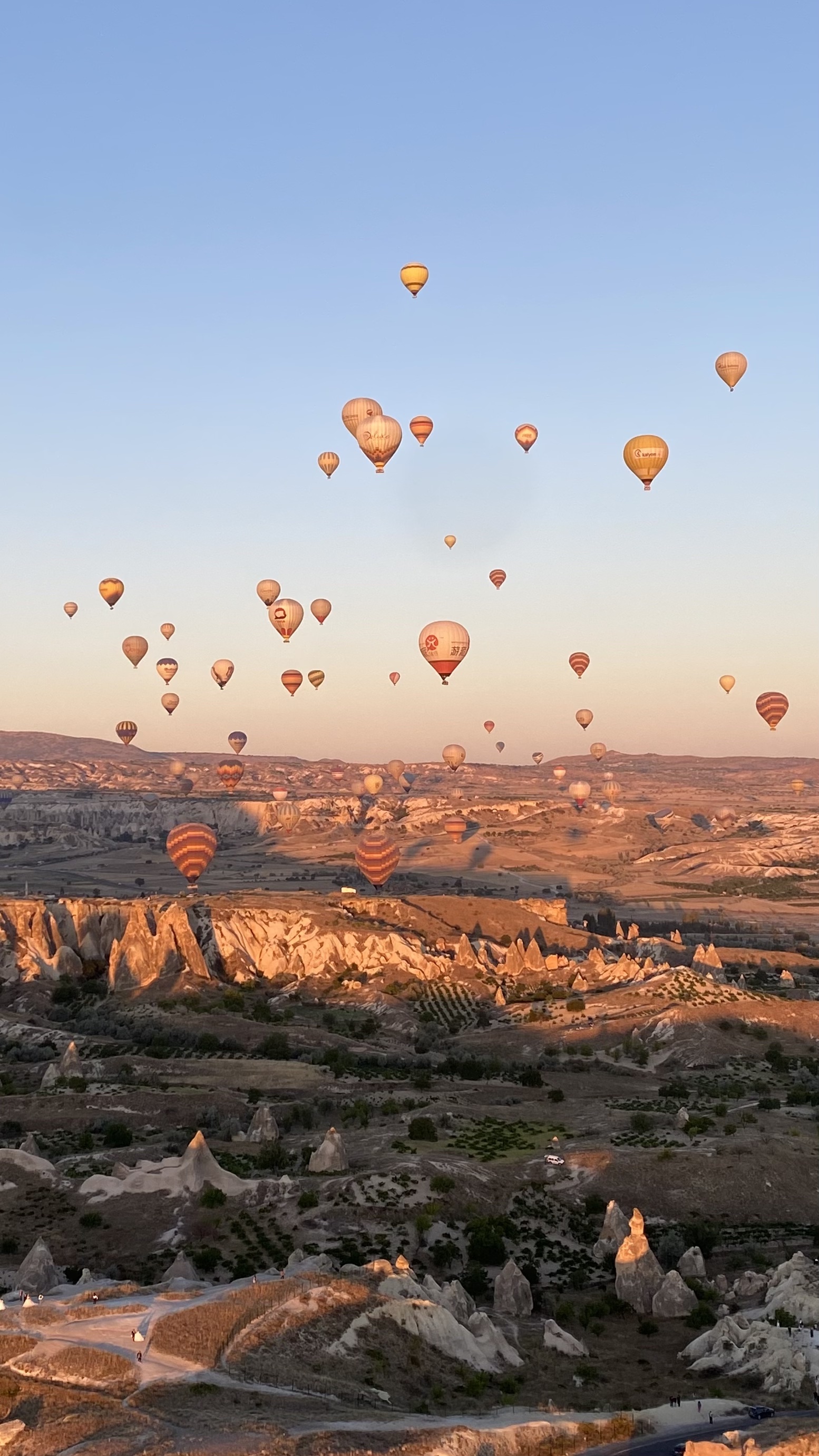 hot air balloons ascend over a valley