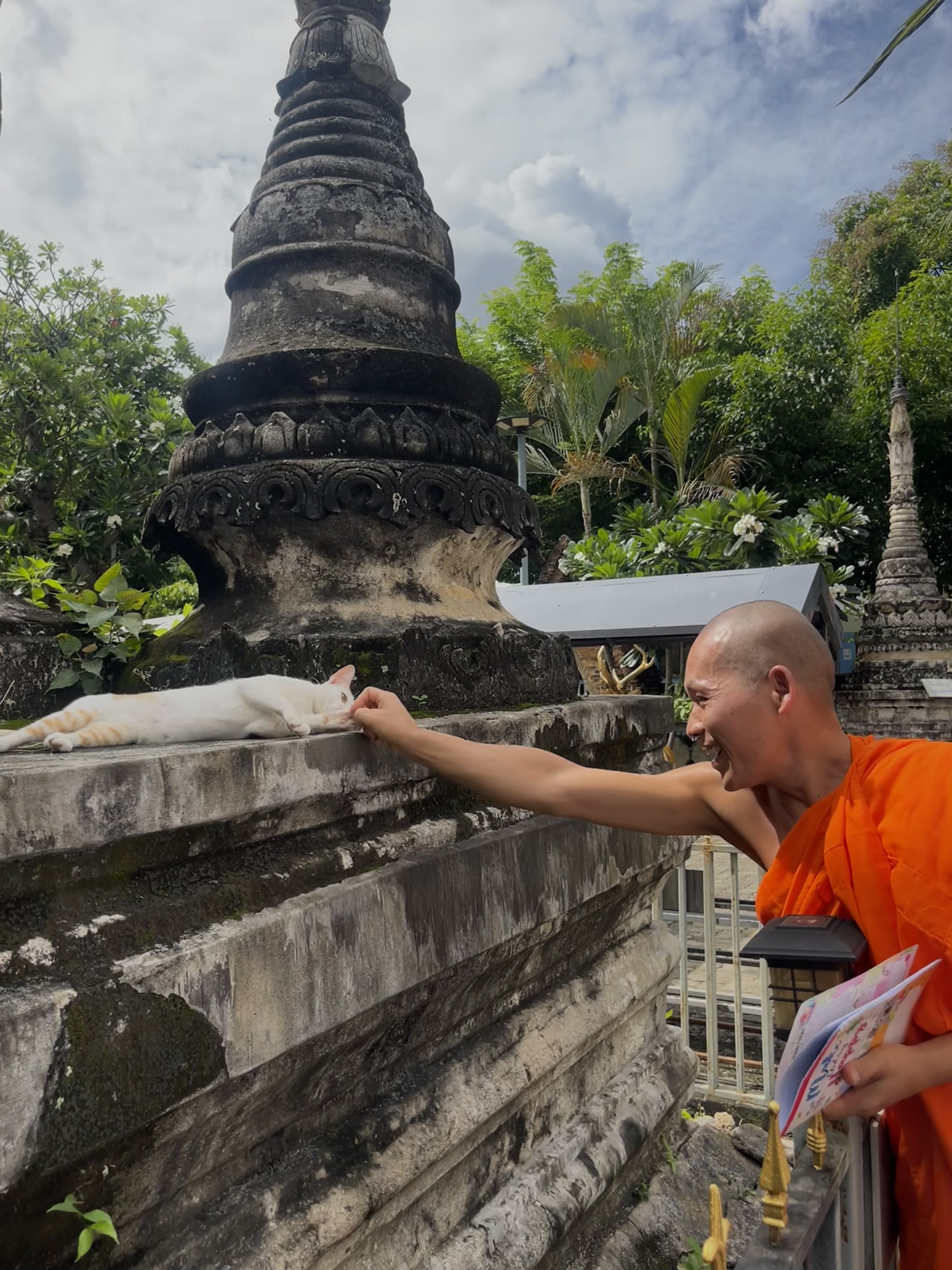 a monk feeds a cat