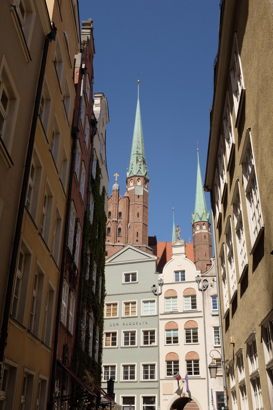 URBAN 7