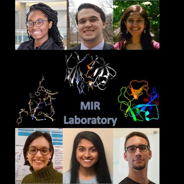MIR Students Publish Research That Could Aid in Therapy for Autoimmune Disorders and Cancer