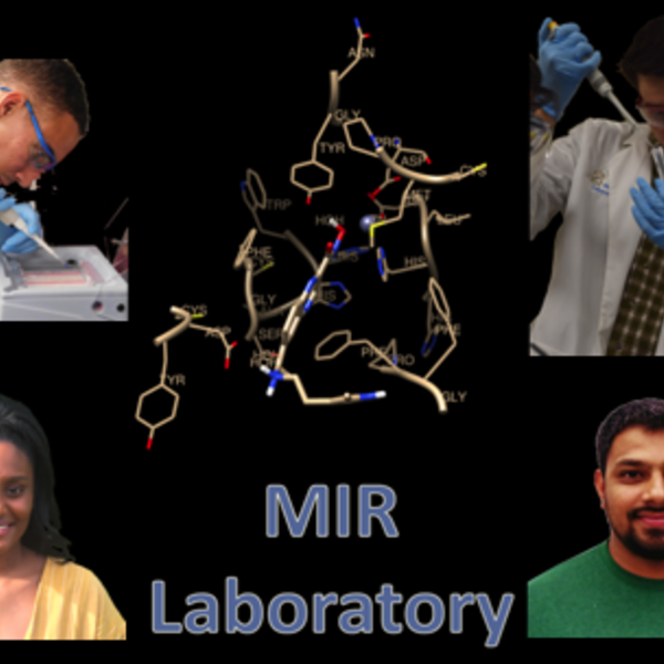 MIR Lab Students Publish Again