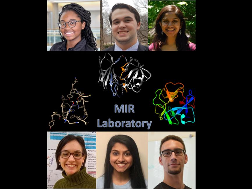 MIR Students Publish Research That Could Aid in Therapy for Autoimmune Disorders and Cancer
