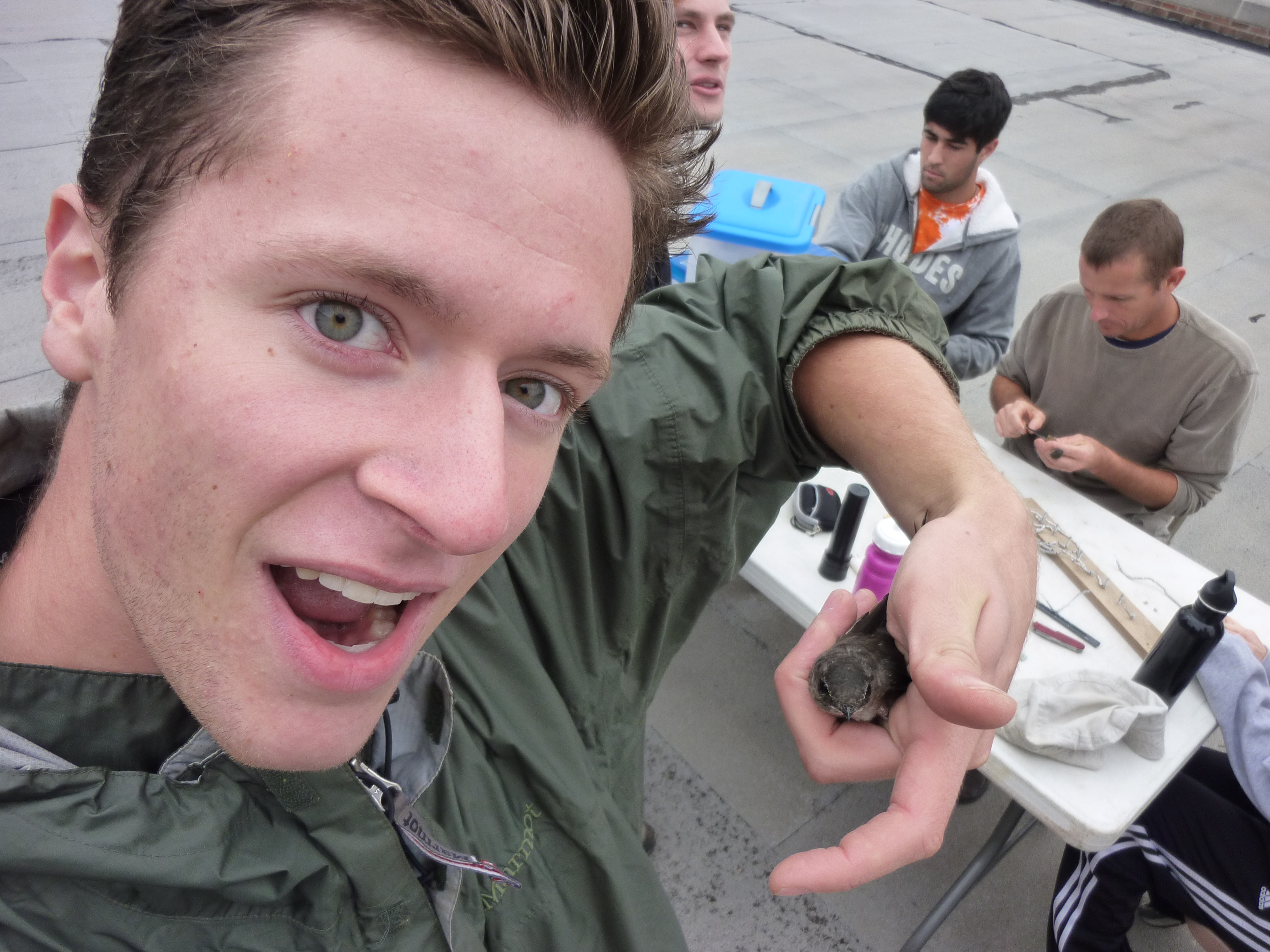 a male student holds a small bird in the palm of his hand