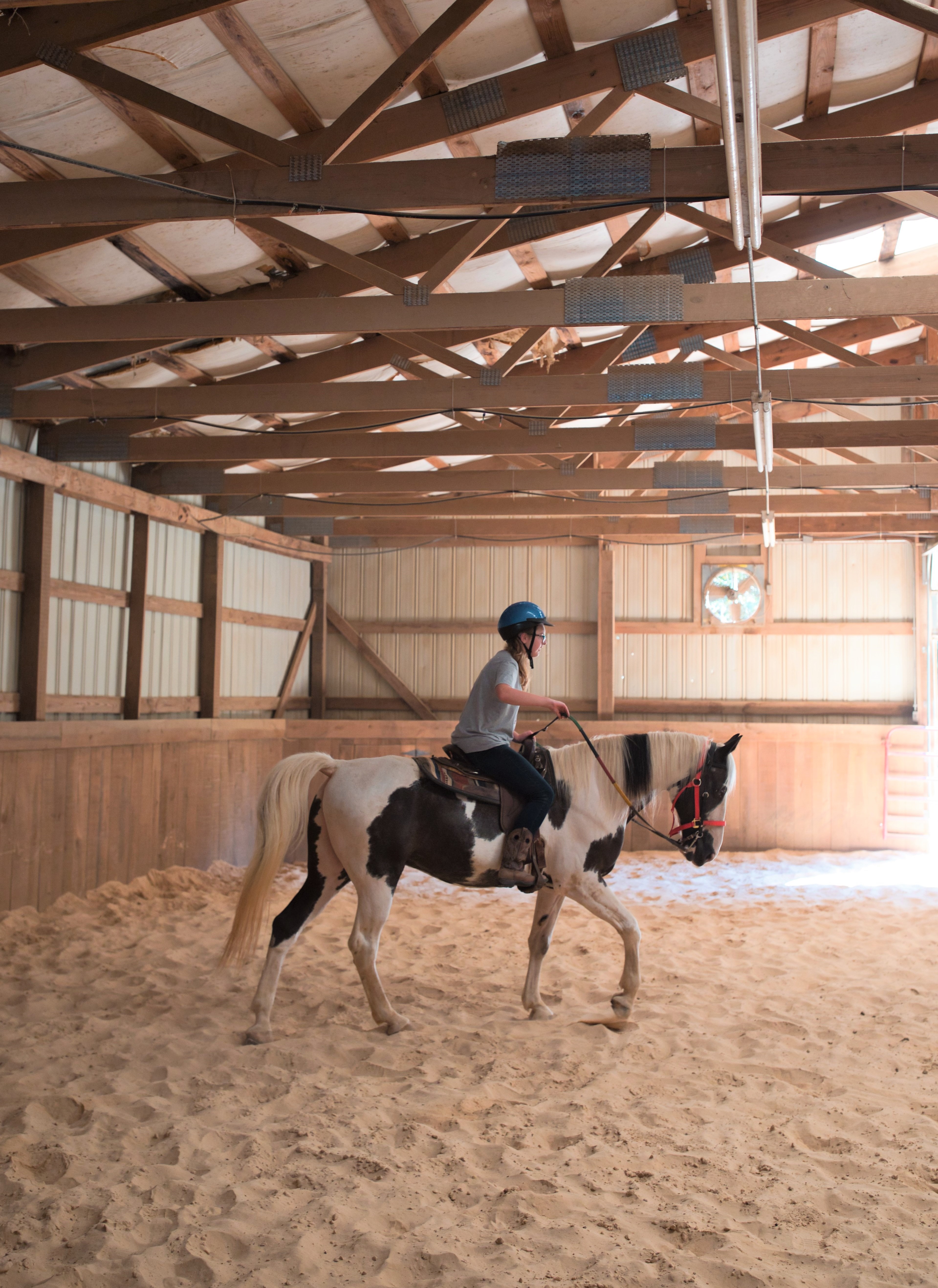 a rider on a horse in an arena