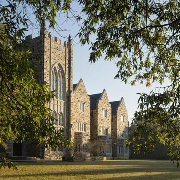 a tall Gothic building surrounded by trees
