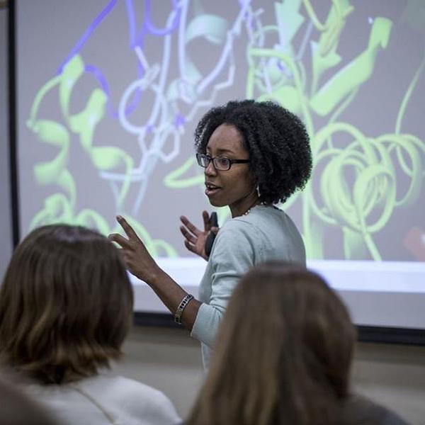 Dr. Shana Stoddard and Lab Students Discover Antiviral That Could Aid in COVID-19 Treatment